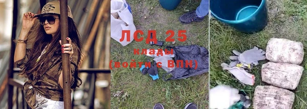 мяу мяу мука Беломорск