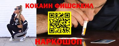 мдпв Камышлов