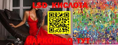 мдпв Камышлов