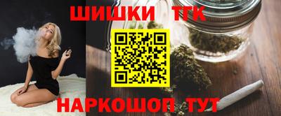 мдпв Камышлов