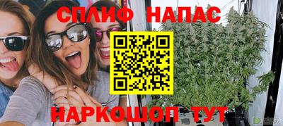 сатива Кандалакша
