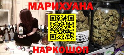 сатива Кандалакша