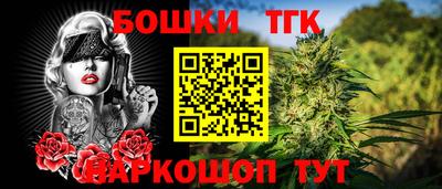 мдпв Камышлов