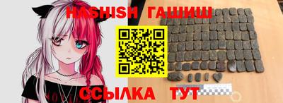 мдпв Камышлов
