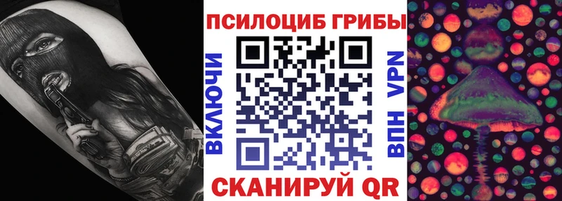 где можно купить Кунгур Псилоцибиновые грибы Psilocybe