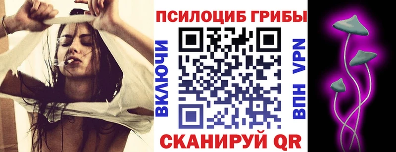 Псилоцибиновые грибы Cubensis Кунгур