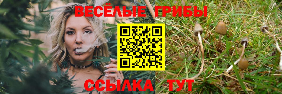 Кунгур  Псилоцибиновые грибы GOLDEN TEACHER  Вход с VPN 